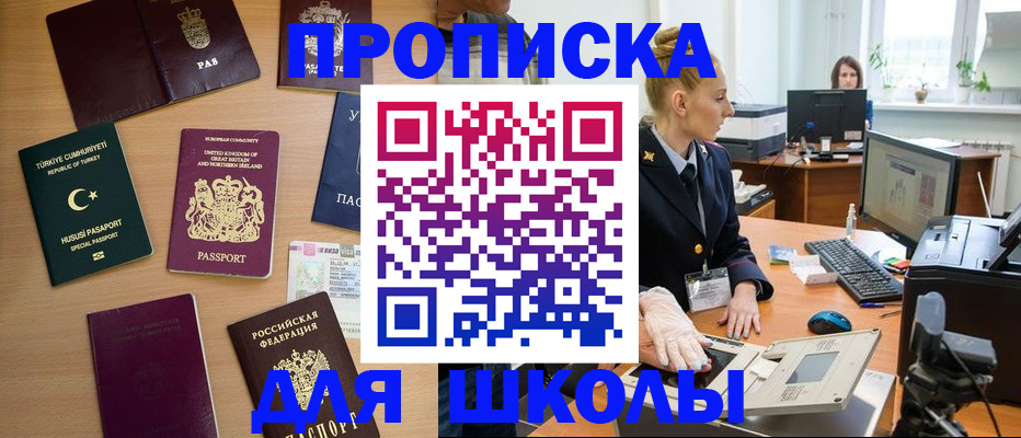 где прописаться в Пестово